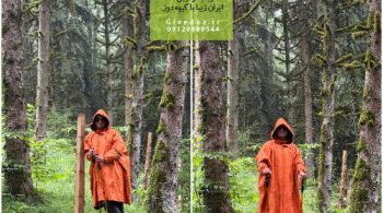 منظره پاییزی جنگل با رنگ‌های گرم