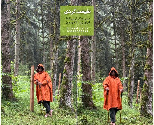 منظره پاییزی جنگل با رنگ‌های گرم