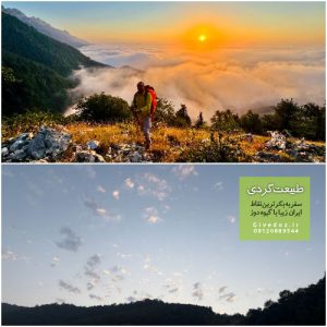 سفر به اوپرت از جنگل