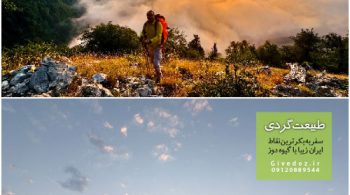 سفر به اوپرت از جنگل