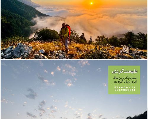 سفر به اوپرت از جنگل