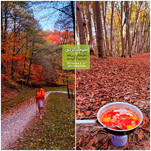 پیمایش جنگل مرسی‌سی مازندران