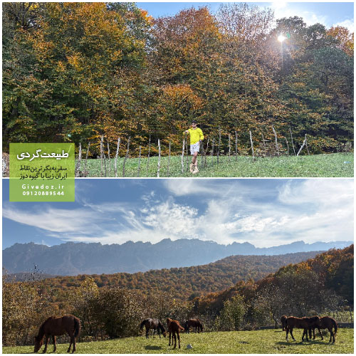 رکورد کالری‌سوزی در پیمایش طولانی جنگل