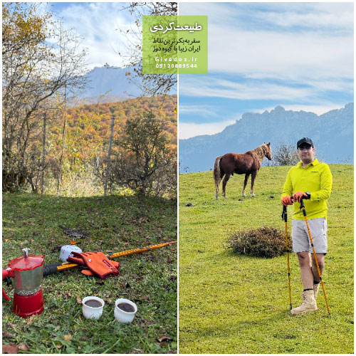 عکاسی طبیعت در جنگل‌های مه‌آلود مرسی‌سی