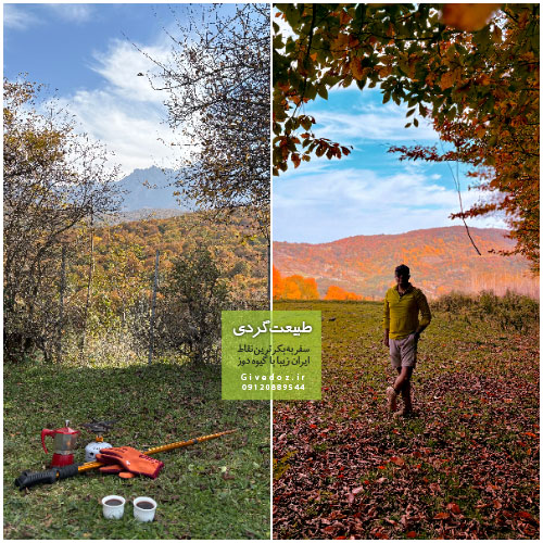 نکات بقا و کمپ در جنگل‌های مرتفع ایران