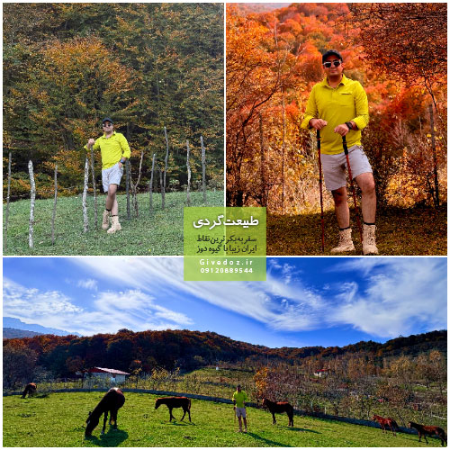 سفرنامه سخت‌ترین پیمایش جنگلی نیم‌سال