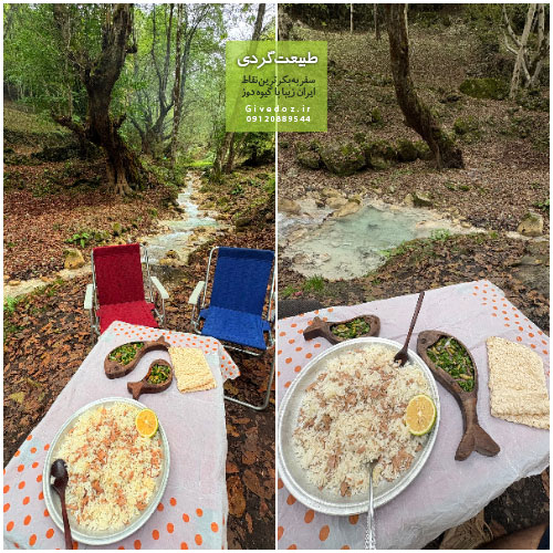 چشمه‌ی فیروزه‌ای در دل جنگل