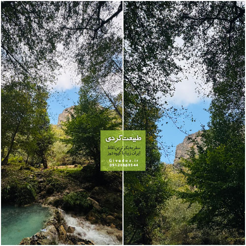 لحظه‌های ناب و فراموش‌نشدنی در جنگل