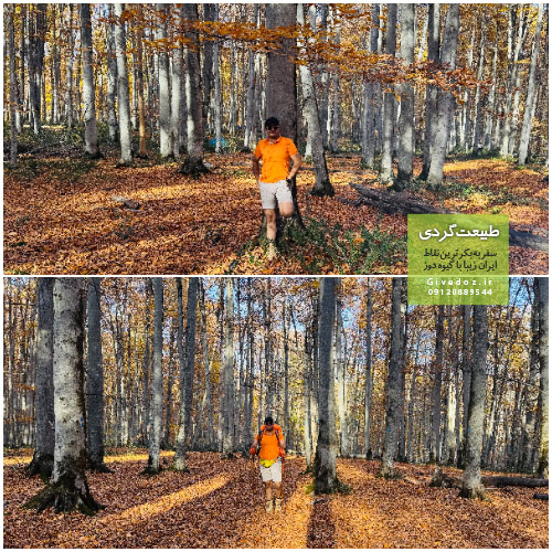 پیمایش ۳۳ کیلومتری جنگل راش با شیب ۳۰ درجه