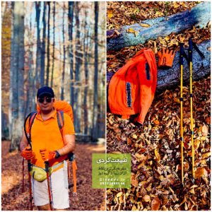 بهترین مسیرهای پاییزی در جنگل‌های راش ایران