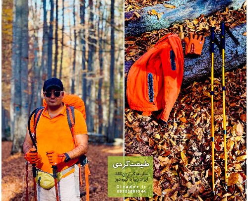 بهترین مسیرهای پاییزی در جنگل‌های راش ایران