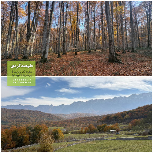 چای آتشی و قهوه در طبیعت بکر مازندران