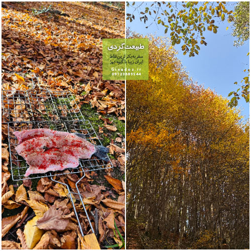 تجربه طبیعت‌گردی سنگین با کوله‌پشتی