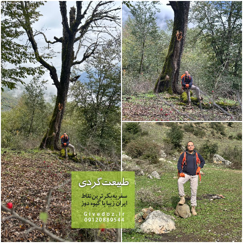 جنگل ارفع ده کجاست
