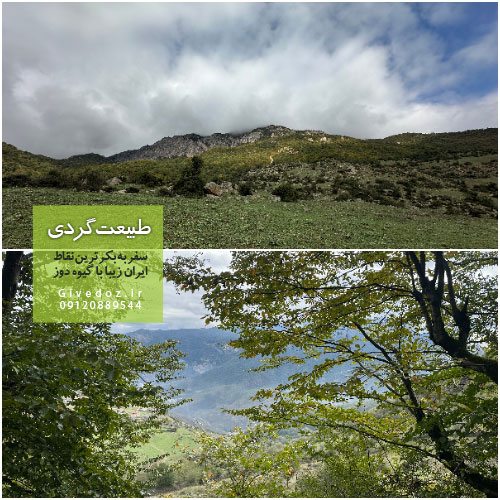 جنگل ارفع ده در کجاست