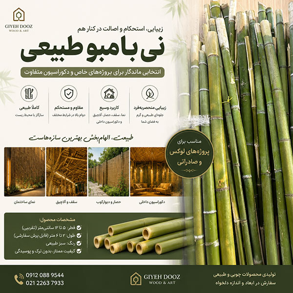 نی بامبو برای دیوار